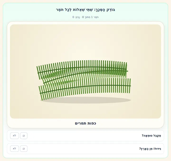 המחשה מהסוגיה